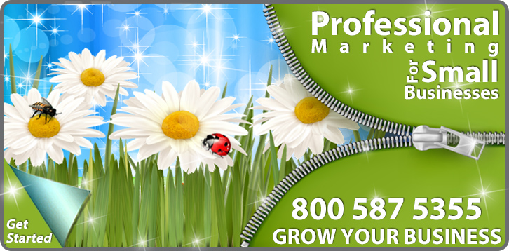 New Website Design - New Jersey Professional Small Business Marketing
