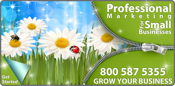 Totowa NJ Web Design